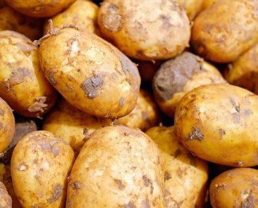 potatoes-2329648_640